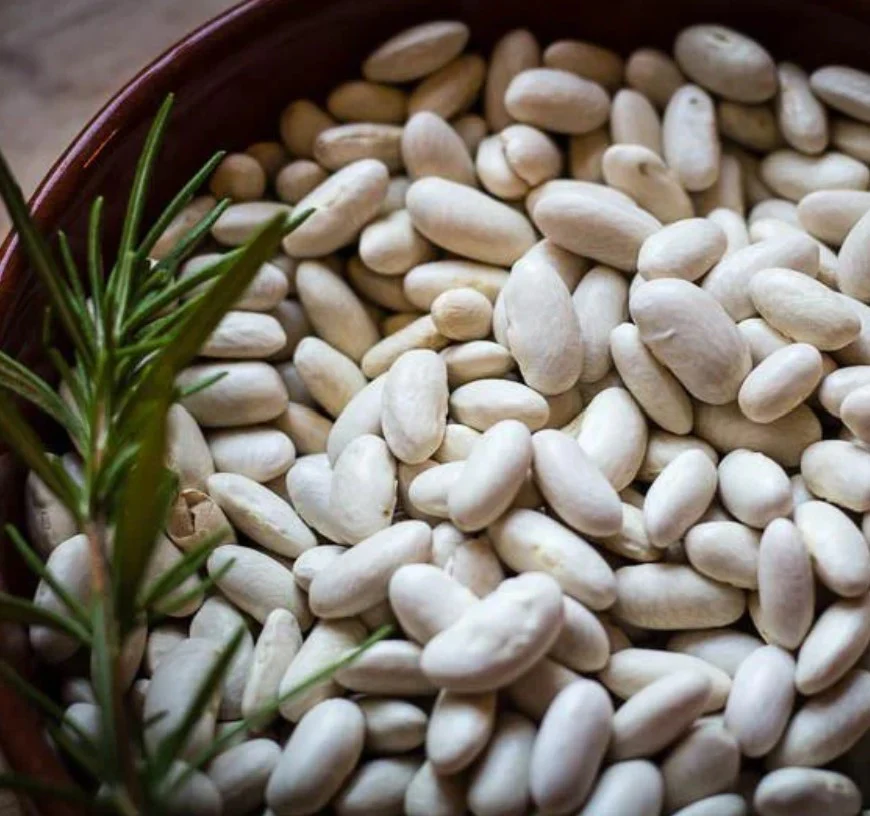 White Beans - Image 2