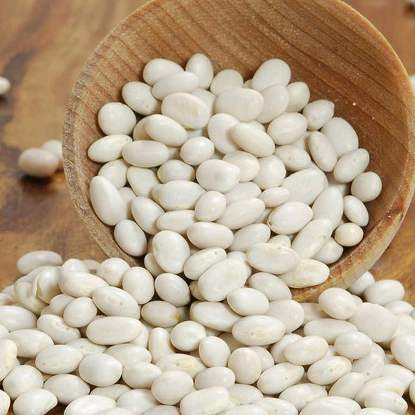 White Beans - Image 3
