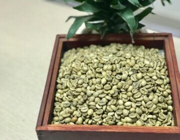Robusta